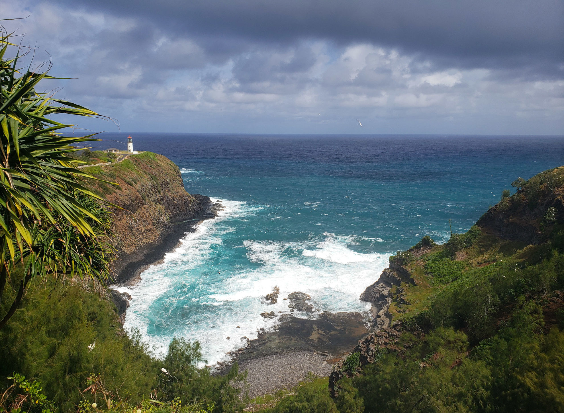 Kilauea Point © Erik Bruhnke