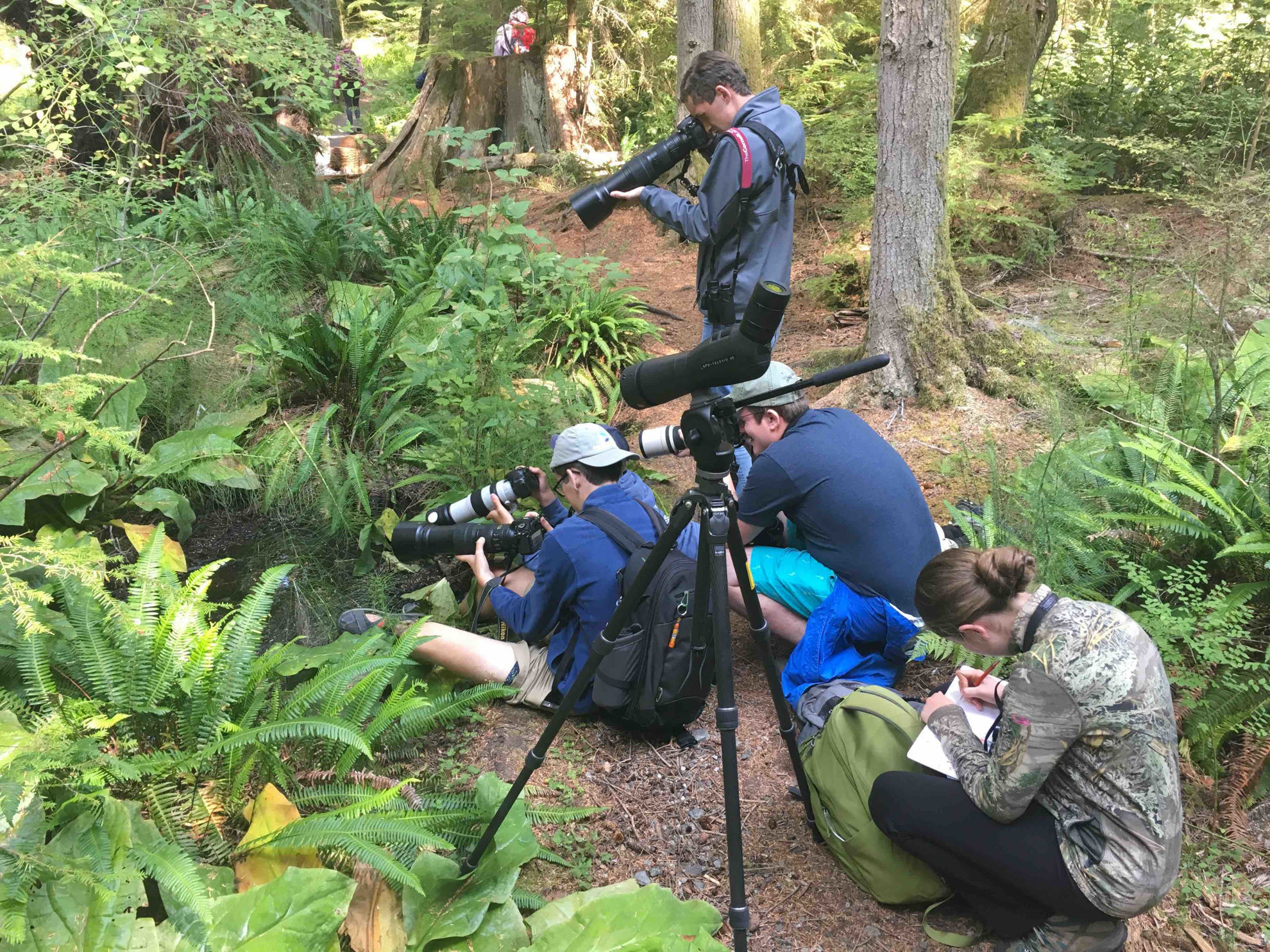 Frog study, South Whidbey State Park © Michael O'Brien